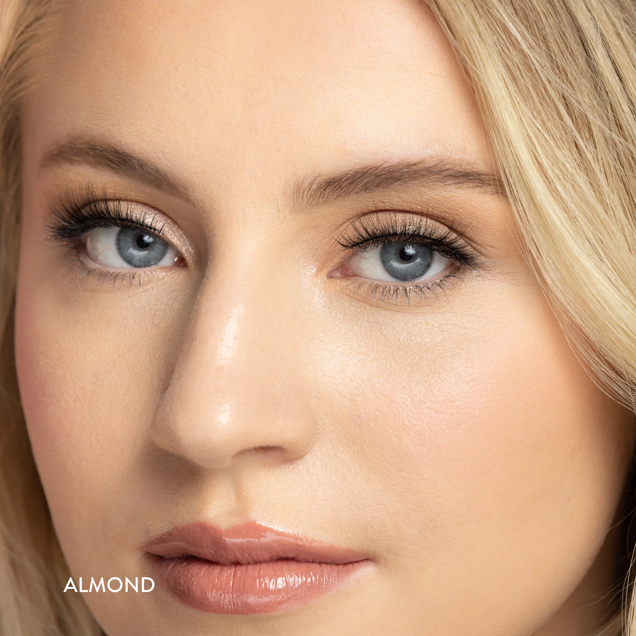 Andi Lash - Image 7
