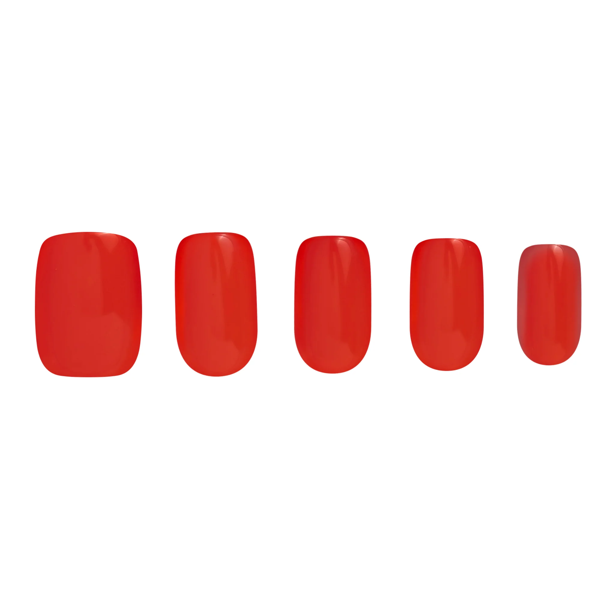 Bold & Bright, Calen - Image 6