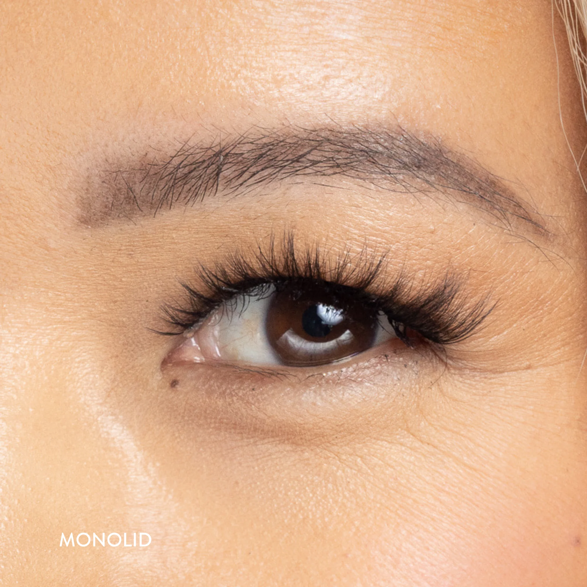 Courtney Lash - Image 6